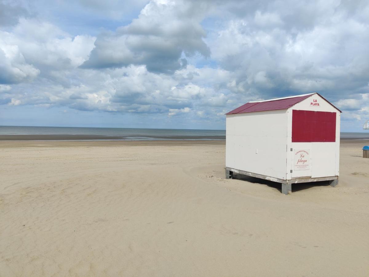 Le Zandkreek Plage & Centre - 2 Ch Koksijde Exteriör bild